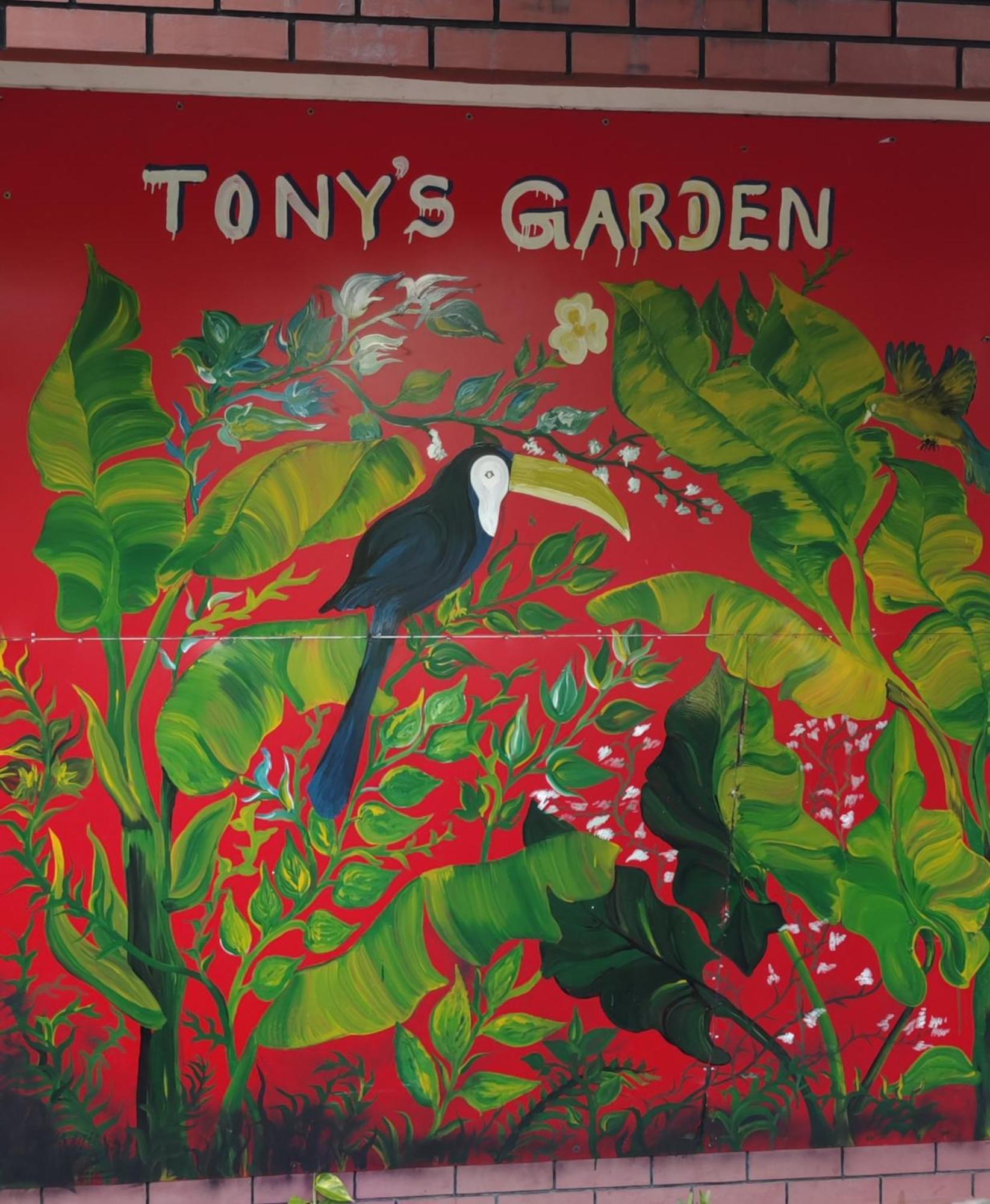 Tony'S Garden House Back Packers Inn Jaffna Exterior foto